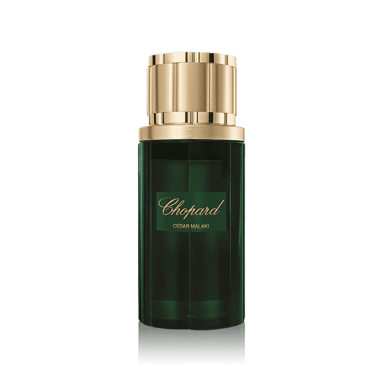 Cedar Malaki